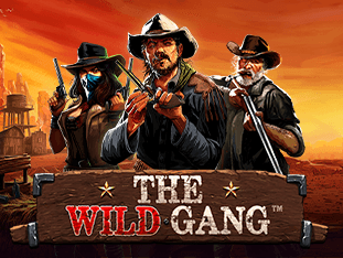 The Wild Gang thumbnail